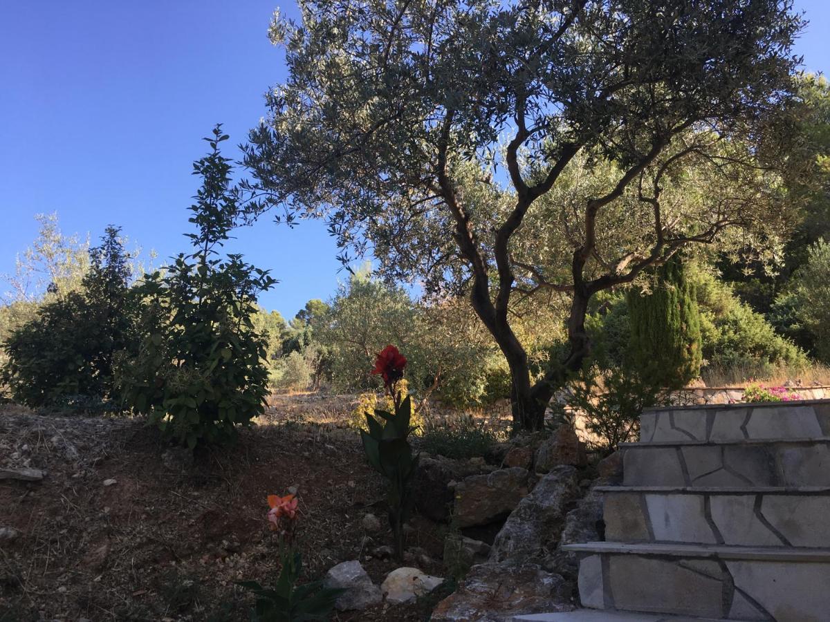 Le Clos En Provence Flayosc Exterior photo