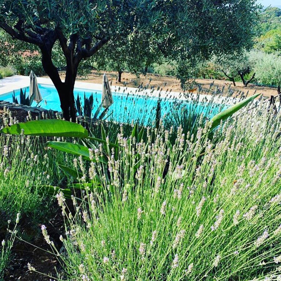 Le Clos En Provence Flayosc Exterior photo